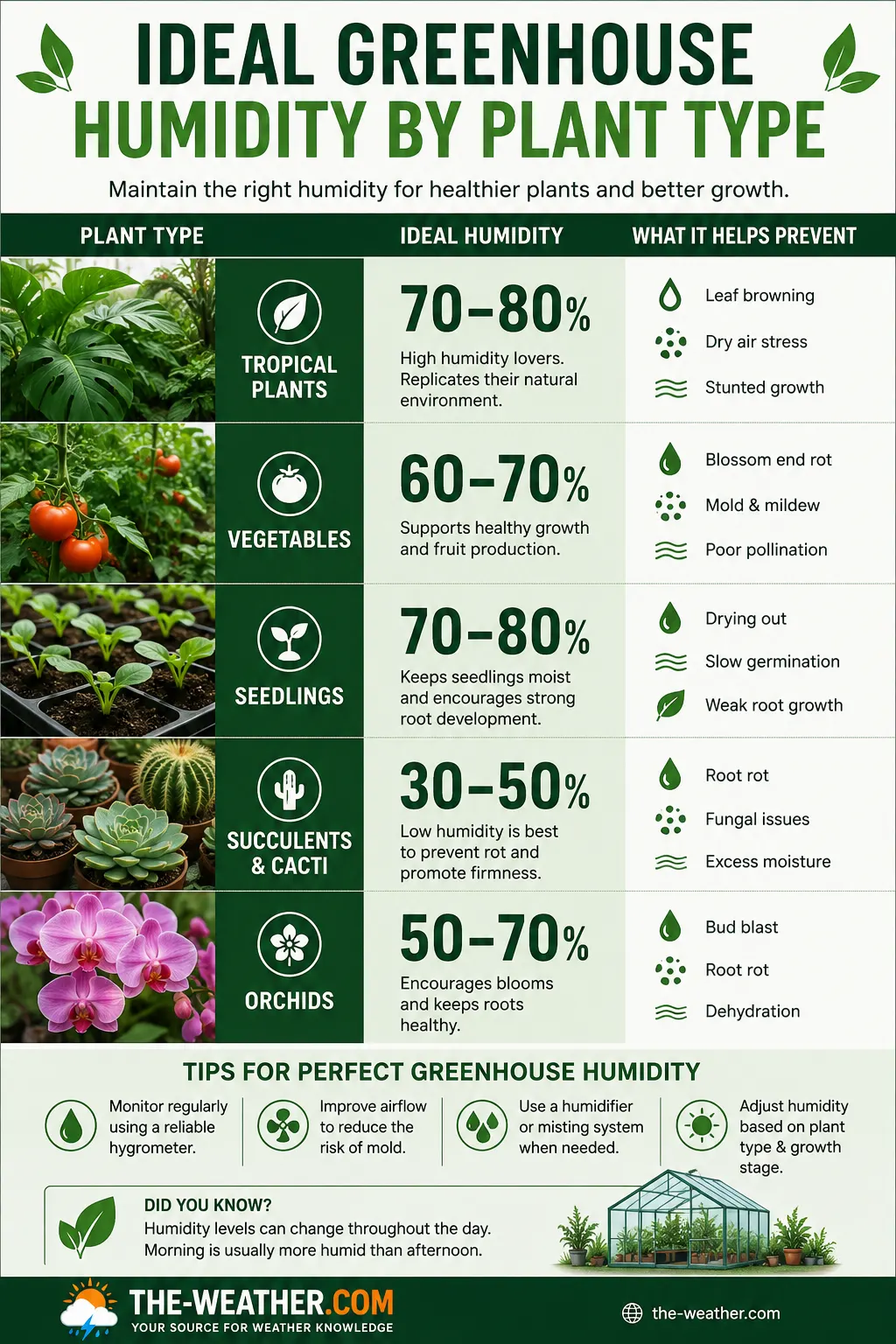 Infographic showing ideal greenhouse humidity levels by plant type