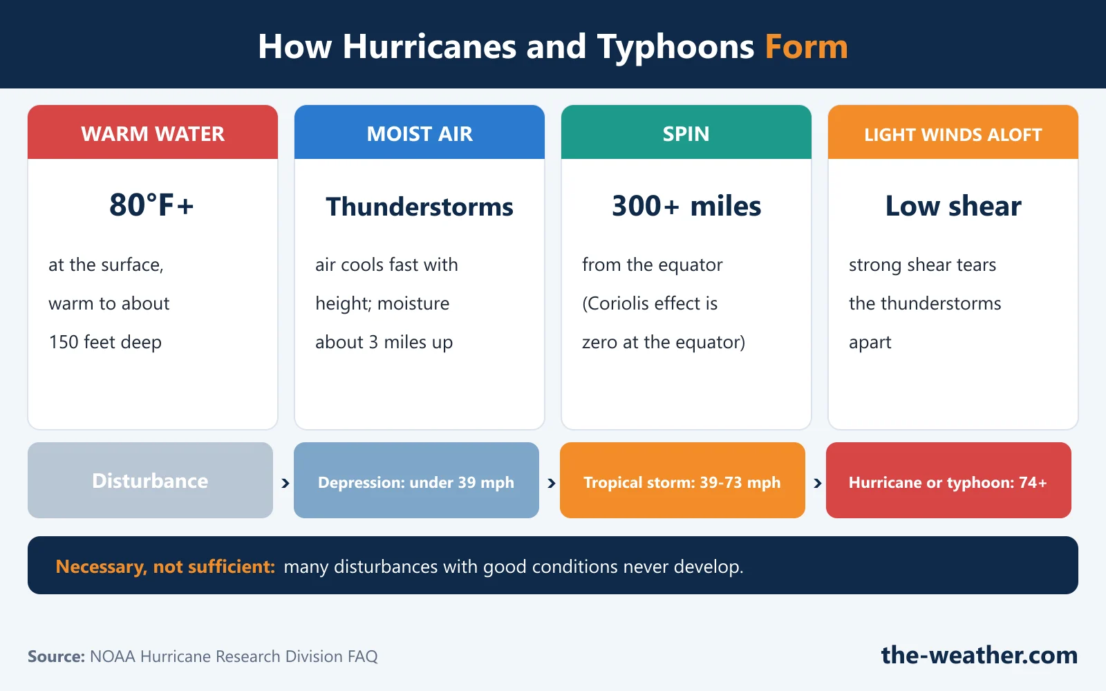Infographic: how hurricanes and typhoons form. Four ingredients: warm ocean water of at least 80 degrees Fahrenheit to about 150 feet deep, moist air that lets thunderstorms grow, spin from Earth's rotation at least about 300 miles from the equator, and light winds aloft. Then four steps: disturbance, depression, tropical storm, hurricane or typhoon