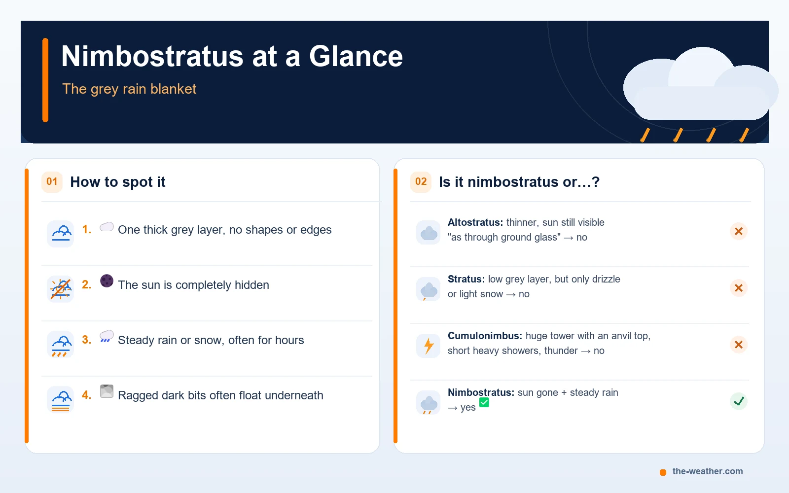 Infographic: how to spot nimbostratus in four checks, and how it differs from altostratus, stratus and cumulonimbus