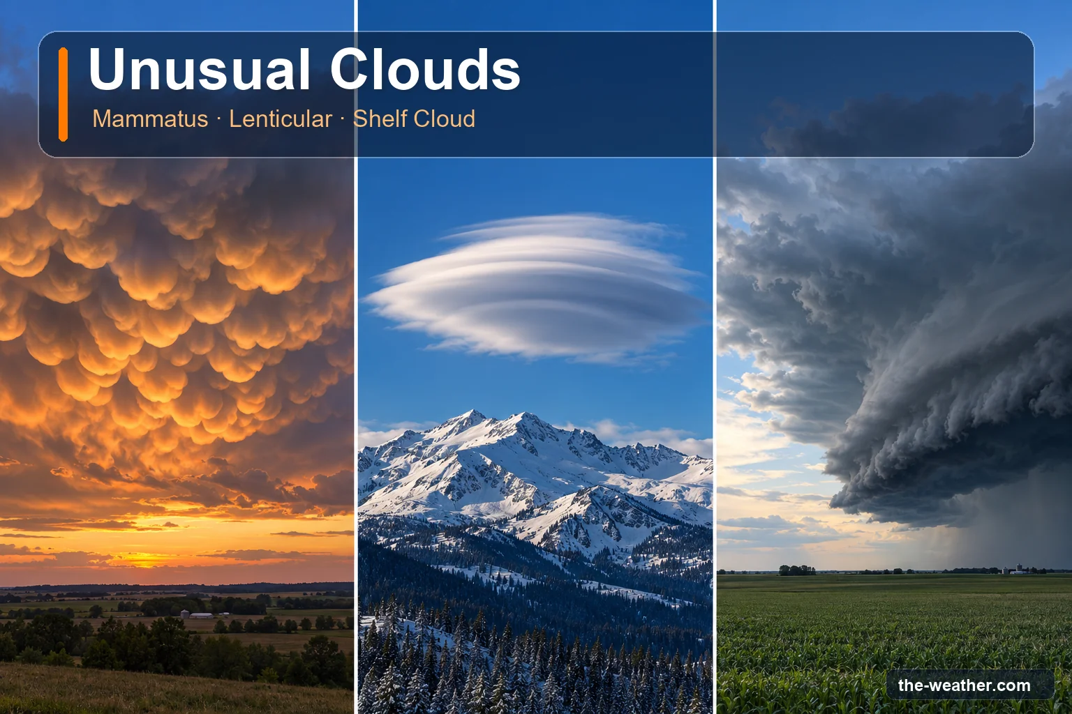 Three unusual clouds side by side: mammatus pouches at sunset, a lenticular cloud over a snowy mountain, and a shelf cloud at the front of a storm